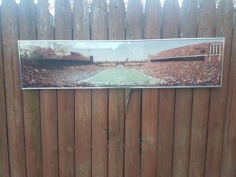 1983 fighting illini vs michigan frame 40x10