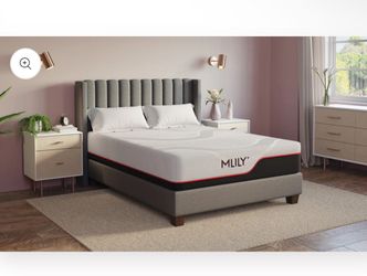 MLily Dream Queen Mattress