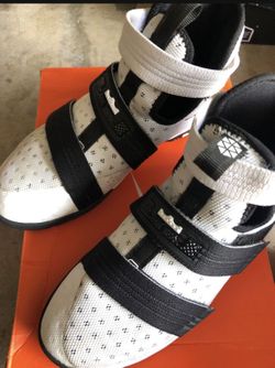 Lebron Solider 10 basketball shoes-Boy size 5.5