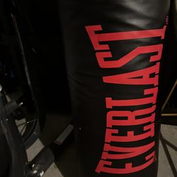 Everlast Punching Bag With Stand