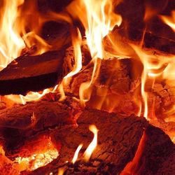 Selling Fire Wood