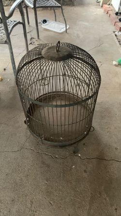 Bird cage