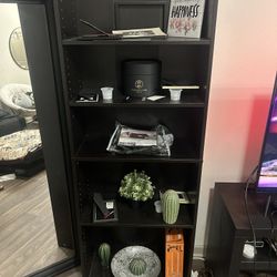 Bookshelf/tv Stand