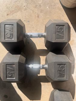 75 lb Rubber Hex Dumbbells Pair