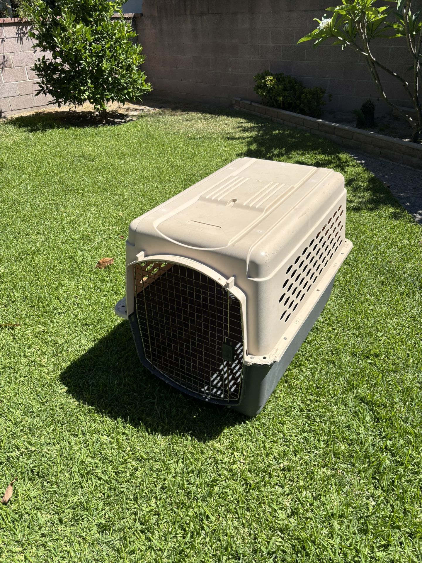 Dog Crate