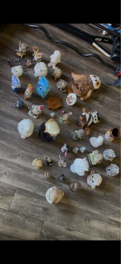 Owl 🦉 collection