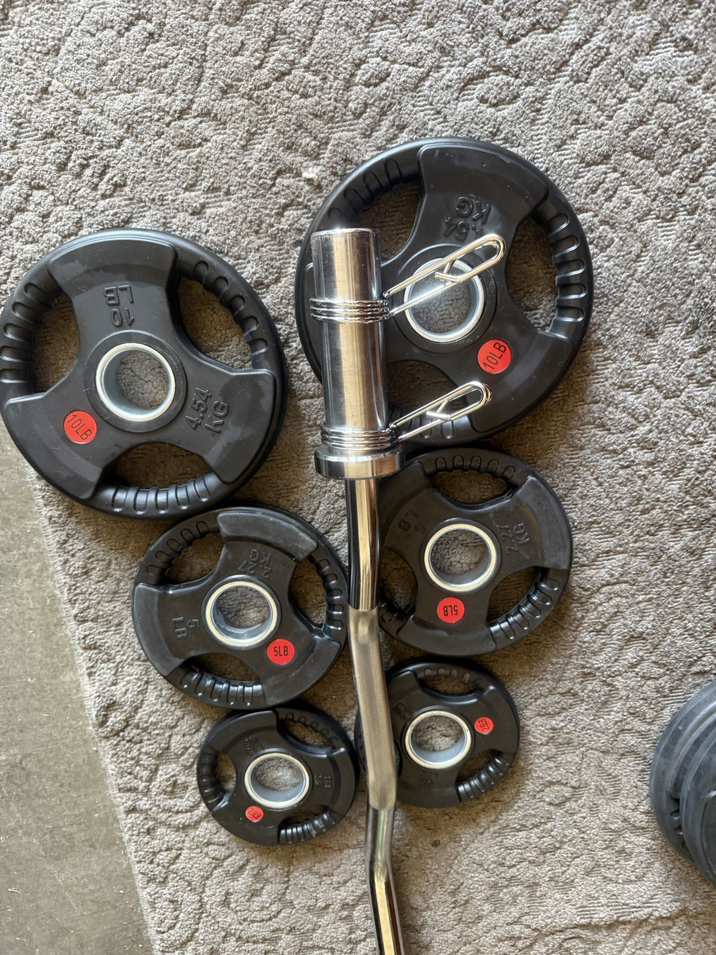 Olympic Curl Bar Weights
