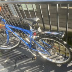 Custom Mountain Bike