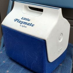 Igloo Lunch Cooler