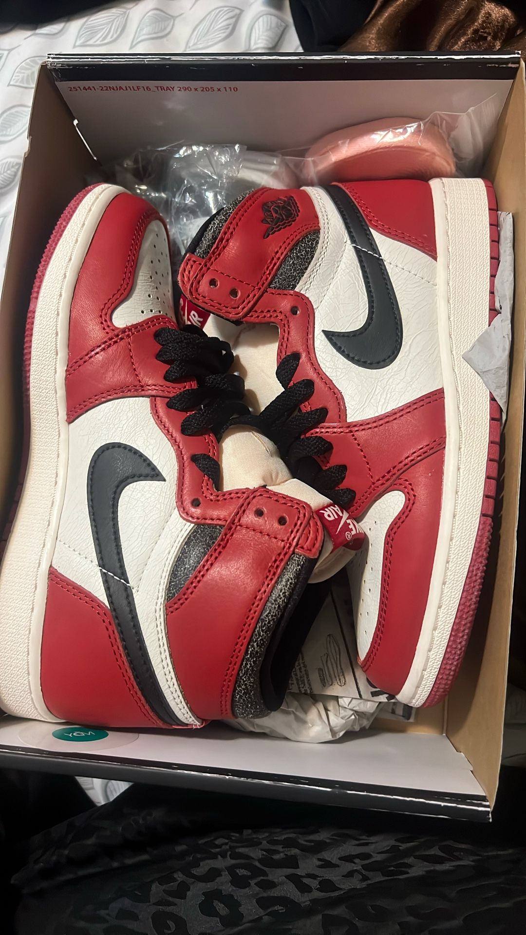 Jordan retro high OG Chicago Lost and Found