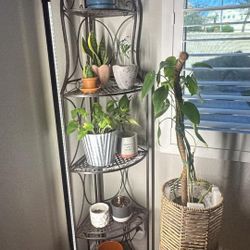 Barrina Grow Light - Plant Light 