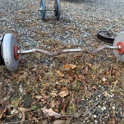 Curl Bar And Misc Weighs 