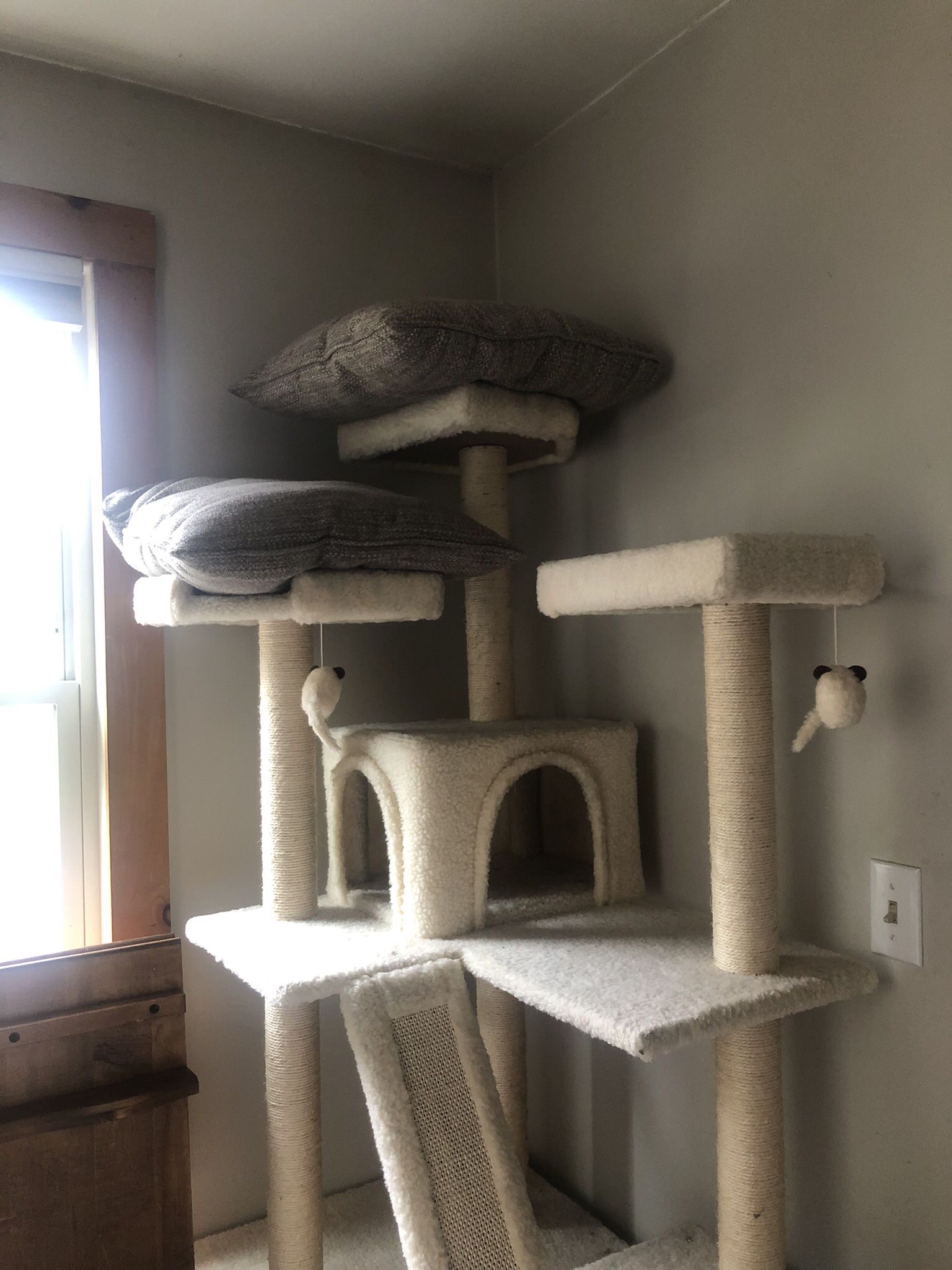 Cat Tower
