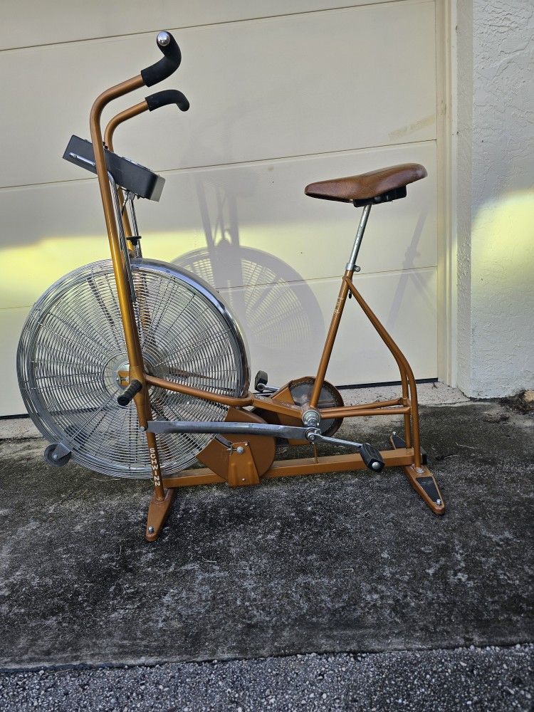 Schwinn Body Exercises