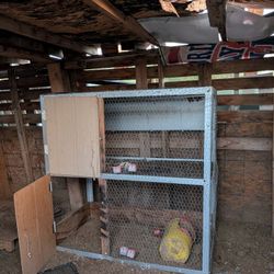 Chicken Coop 