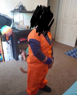 Kids Goku Dragon Ball Z Costume