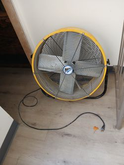 Big fan