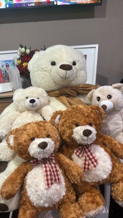 Bears