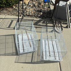 Bird Cages