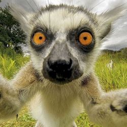 Need Beyond wonderland Tickets 