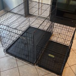 2 Dog crates