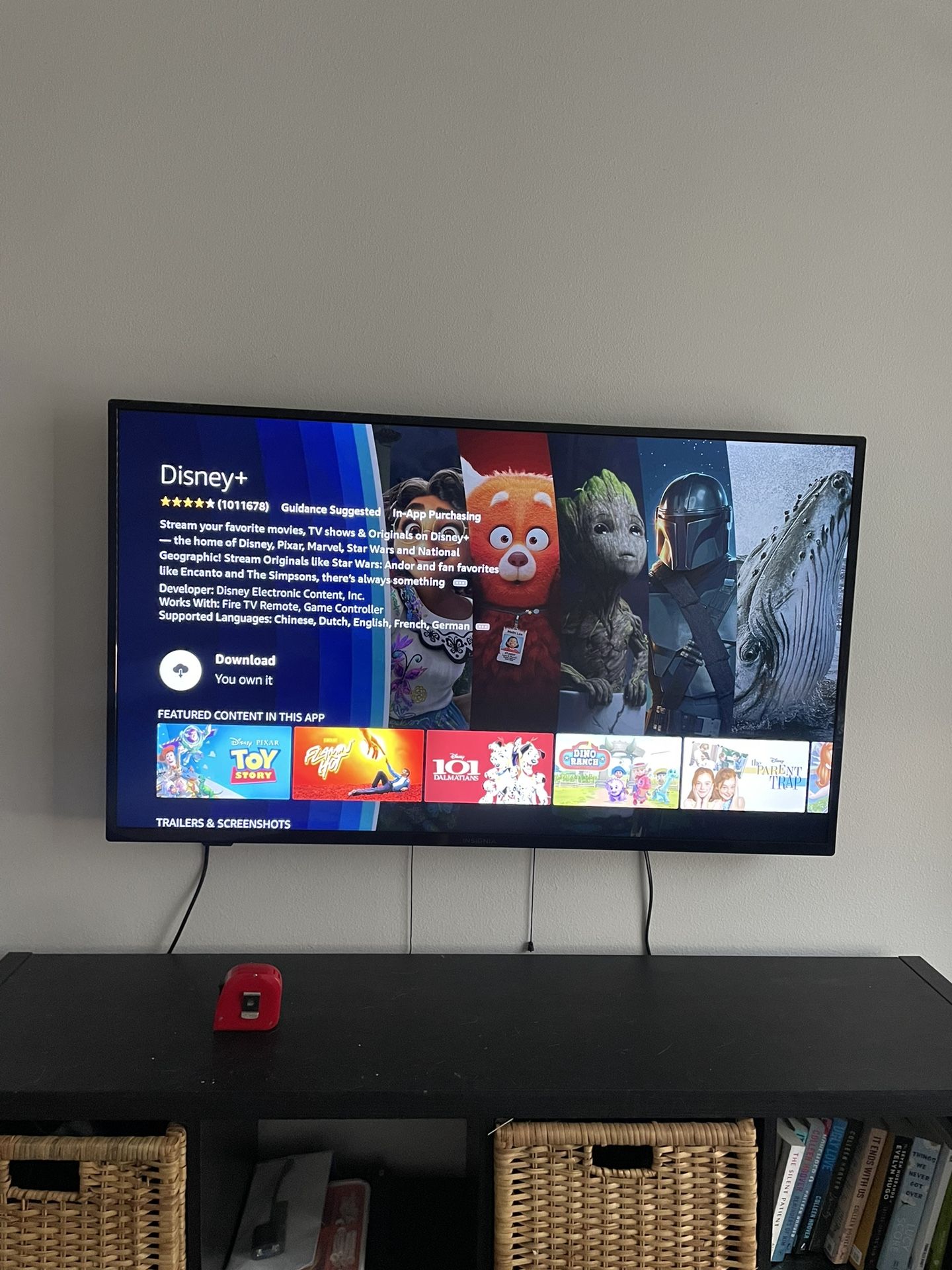 50 Inch Insignia TV With Mount