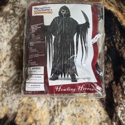 Halloween Costume