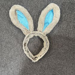 Bunny, Easter ears