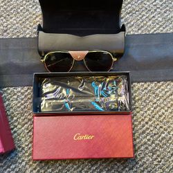 Designer Sunglasses $100