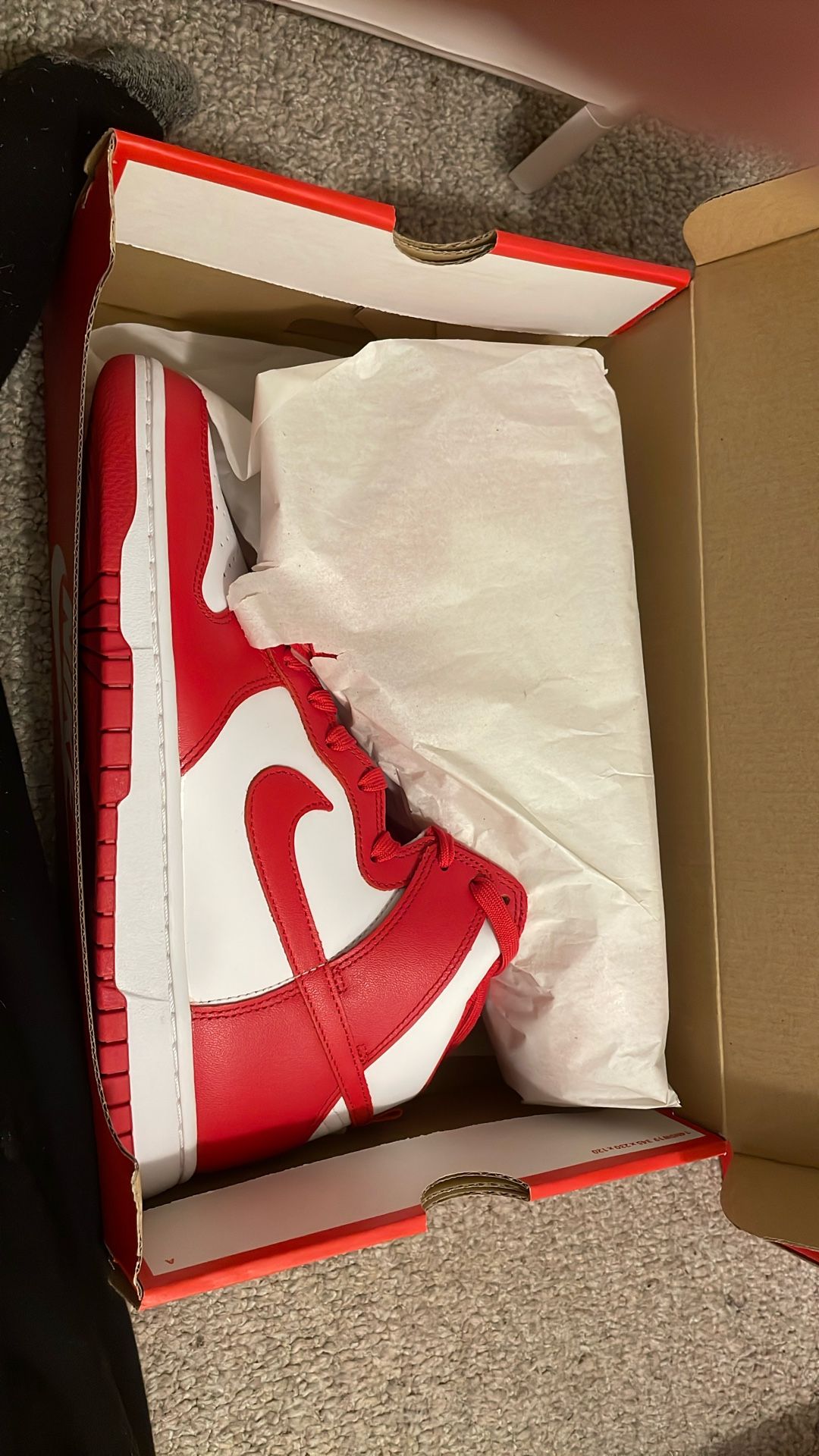 nike dunk hi retro