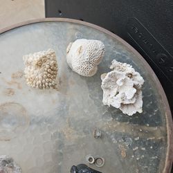 3 Small Corals For Fish Tank Aquarium Decoration