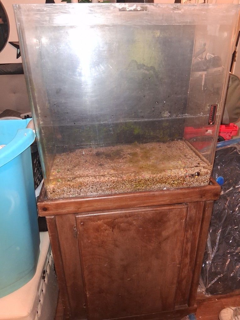 35 Gallon Fish Tank