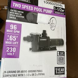 Everbilt 1.5 HP 2-Speed Pool Pump 230-Volt