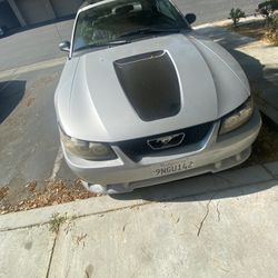1999 Ford Mustang