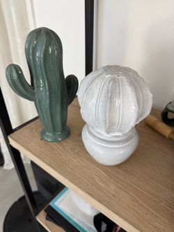 Cactus decor