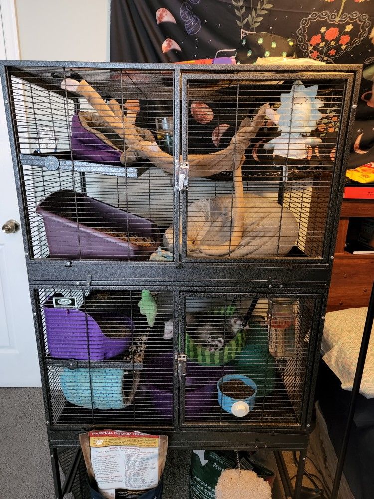Ferret Cage Comes With Everything