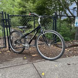 Trek Hybrid Bike