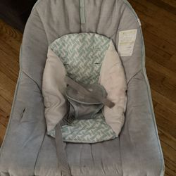 Baby Bouncer 