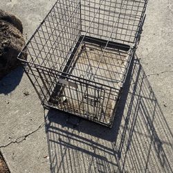 dog crate 