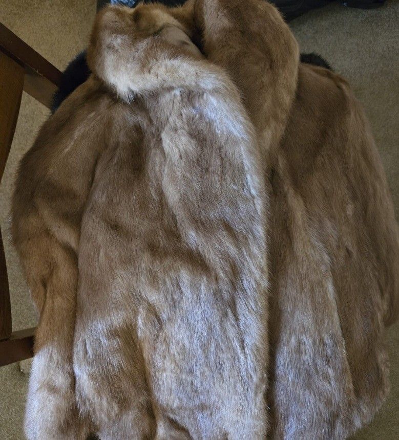 Mink Coats
