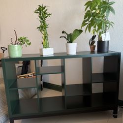 Bookshelf - Green 