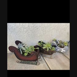 Succulent Sleigh