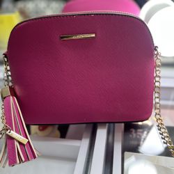 Pink Aldo Purse 