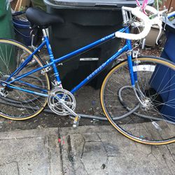 Adult Bike Size 27 Inches 