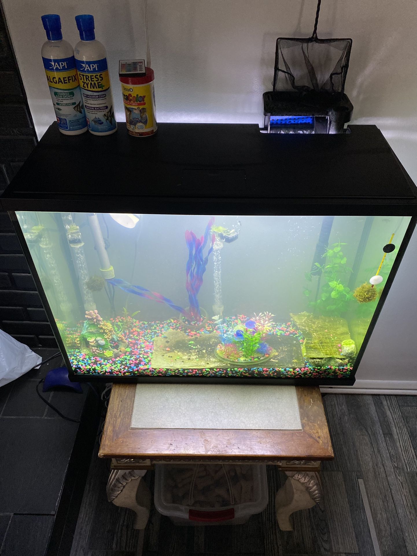 Fish Tank 