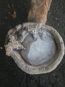Bird bath