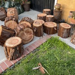 Wood Stumps 