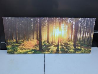 Forest Sunrise Canvas Wall Art