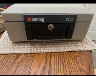 Sentry 1100 Fire-Safe Security Box