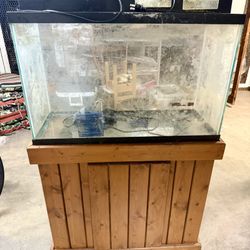 20 Gallon Fish Tank with Wood Stand & Supplies